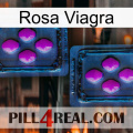 Pink Viagra 03